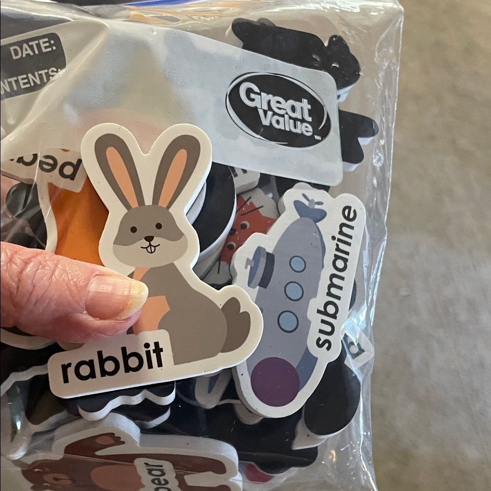 Animal and Object Magnets - Multicolor